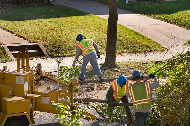 Best Tree Risk Assessment  in Knightstown, IN